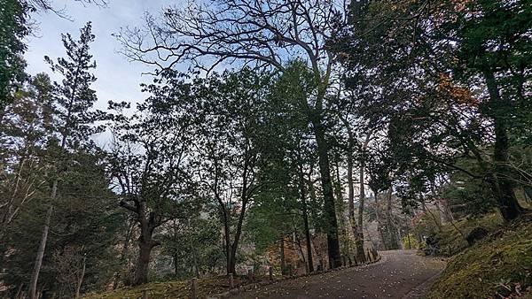 I2 成田山公園 16.jpg