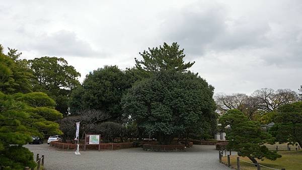 C06 水前寺成趣園 23.jpg