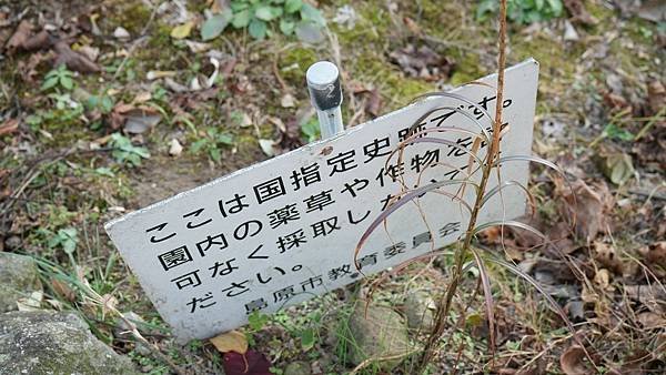 E10 舊島原藩藥園遺跡 15.jpg