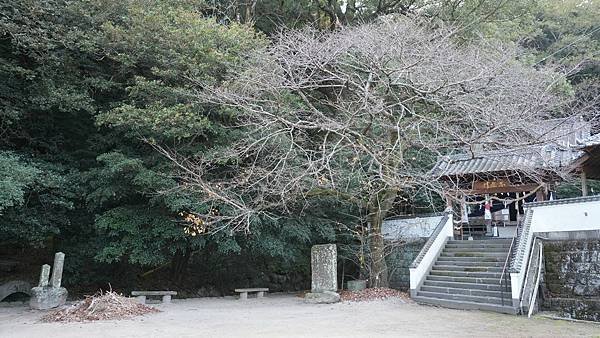 E16 溫泉熊野神社 10.jpg