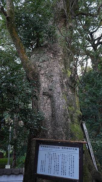 E16 溫泉熊野神社 19.jpg