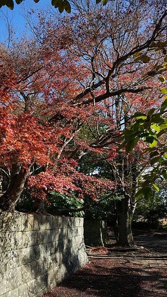 G8 安勝寺 02.jpg