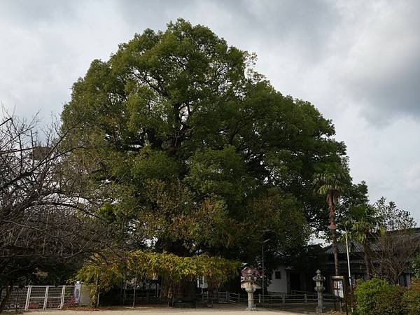 H12 山王神社 35.jpg