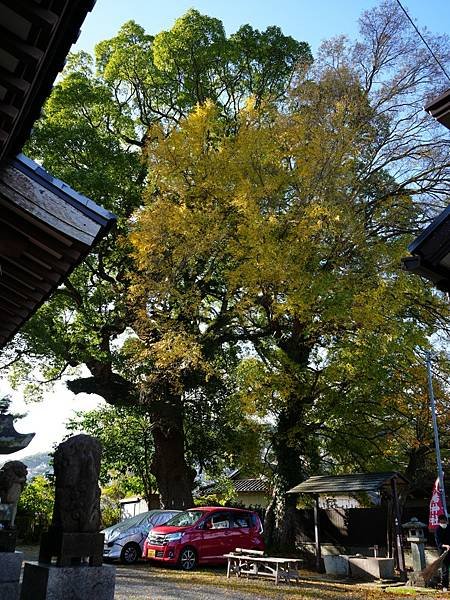 I2 中川八幡神社 11.jpg