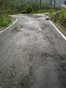 pic78.jpg