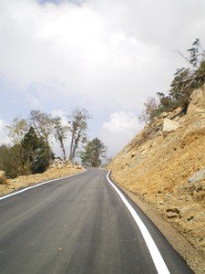 pic11.jpg