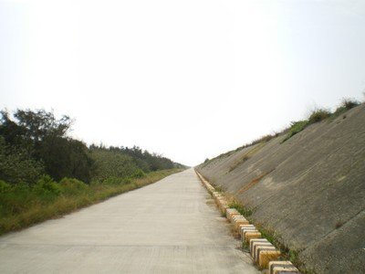 pic25.jpg