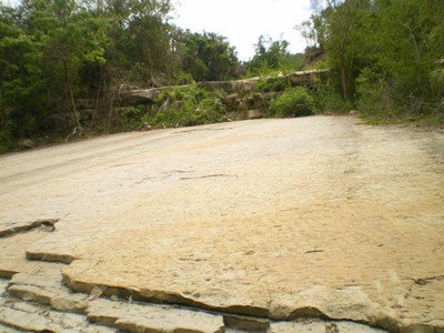 pic36.jpg