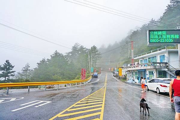 DSC04593