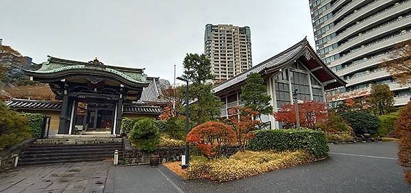 IMG_20191217_110828.jpg