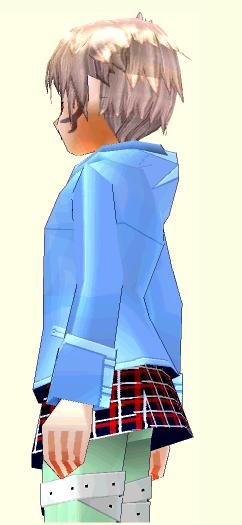 gin_simu04.JPG