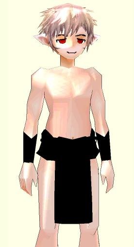 gin_simu05.JPG