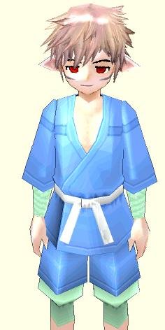 gin_simu09.JPG