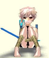 gin_simu18.JPG