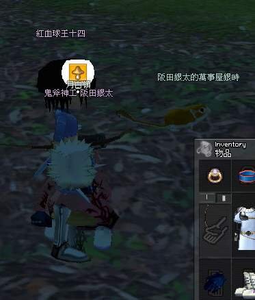 mabinogi_2009_08_01_016.JPG