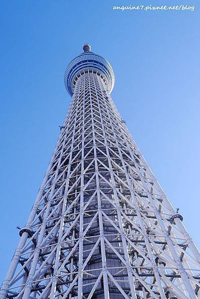 P1050808拷貝