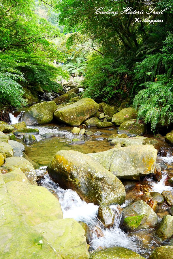 廖西瓜＠2014東北角草嶺古道芒花季2