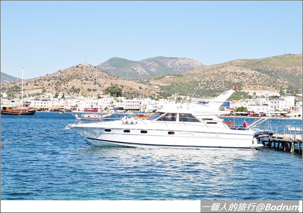 DSC_3135.jpg
