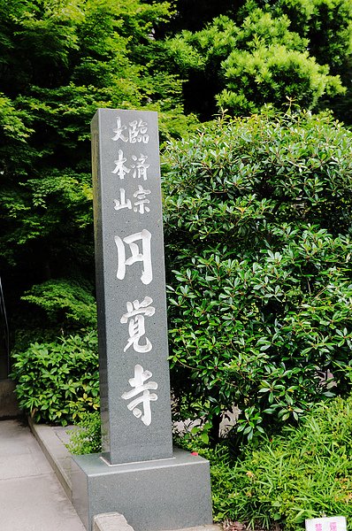 DSC_5822.jpg
