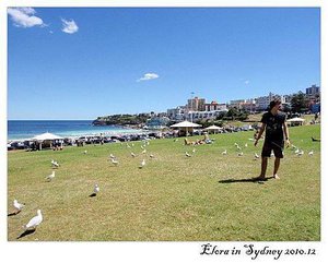 Sydney-Bondi Beach-10