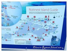 Rottest Island (2)