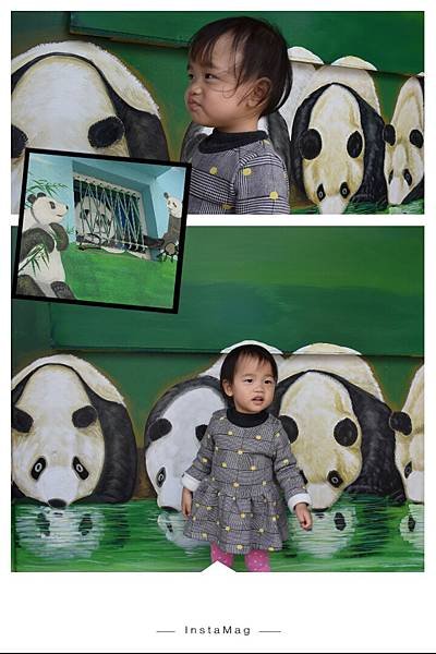 img1424764826873