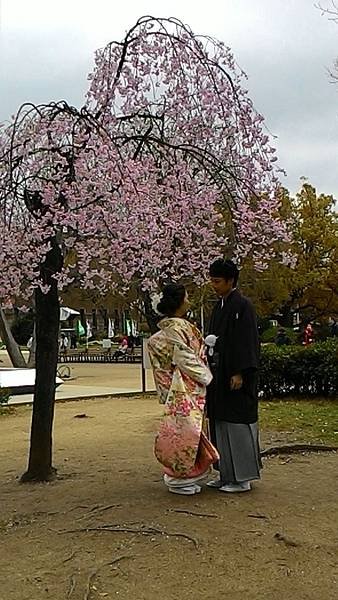 P_20150407_132044