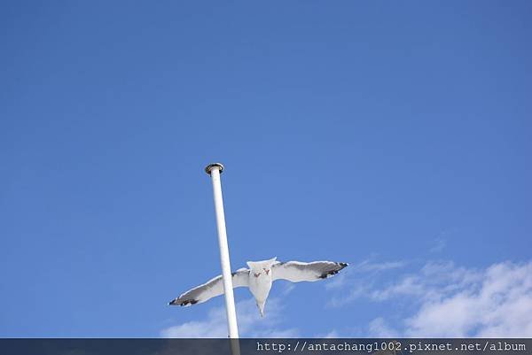 DSC_4953.JPG