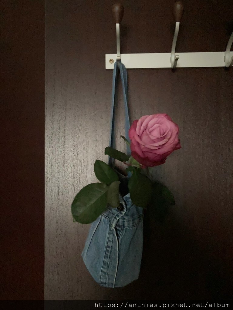 縫紉_230429_1.jpg