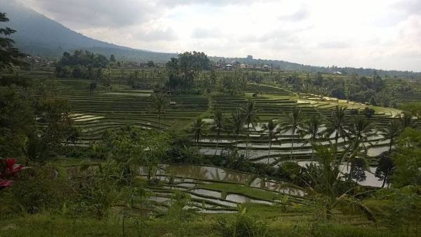 Ubud