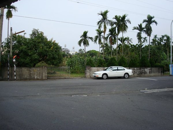 DSC06786.JPG