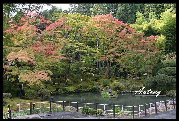 松島-圓通院楓景7.jpg