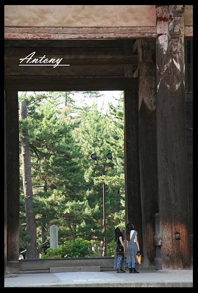 奈良-東大寺5.jpg