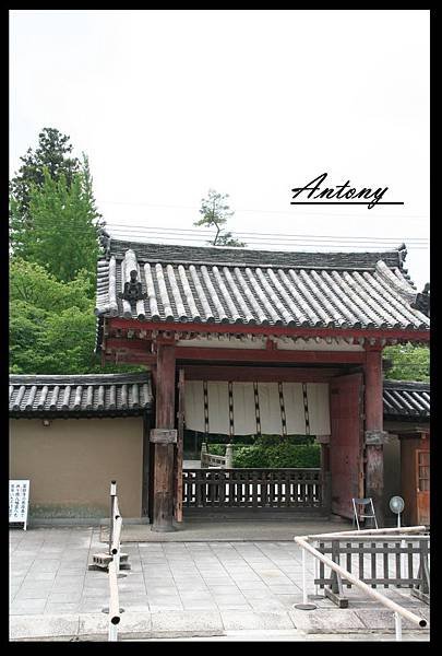 奈良-藥師寺10.jpg