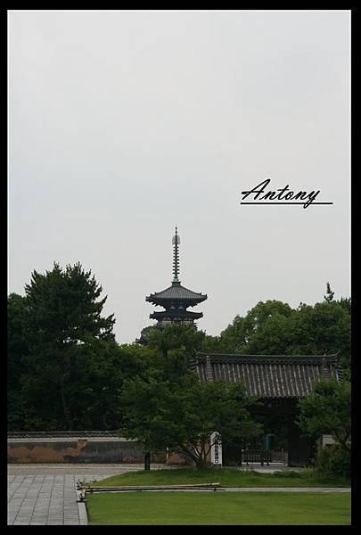 奈良-藥師寺11.jpg