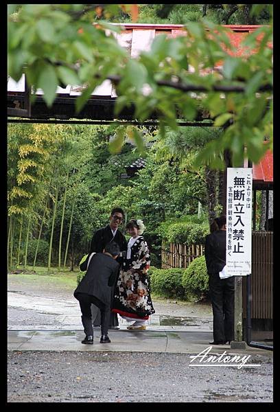 京都隨景5