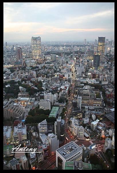 東京，視野