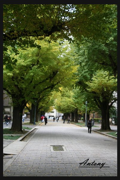 東京大學，東京3.jpg