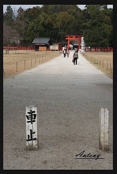 京都-上賀茂神社2.jpg