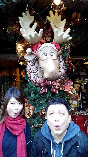 IMG_20141219_100835.jpg