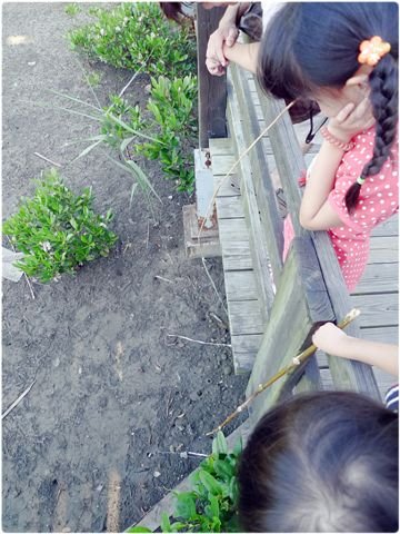 P1060899.JPG