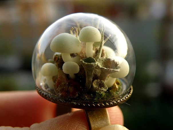 glass-globe-terrarium-ring-designs-7