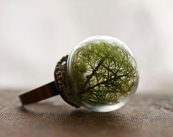 glass-globe-terrarium-ring-designs-11