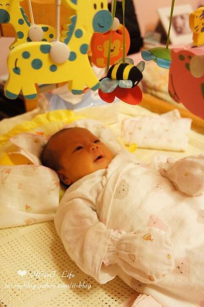 DSC00973_副本.jpg