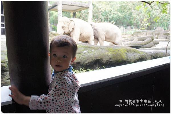 晴晴初遊木柵動物園 (31).JPG