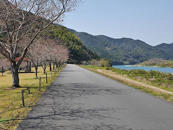P1160521.JPG