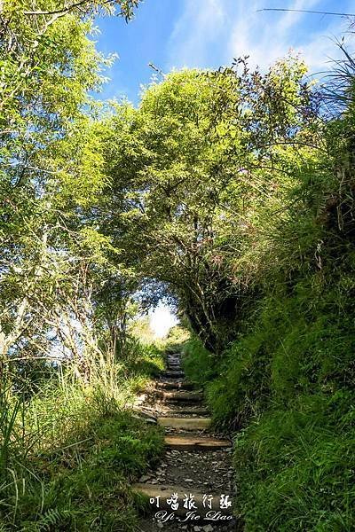 20180912_035.jpg