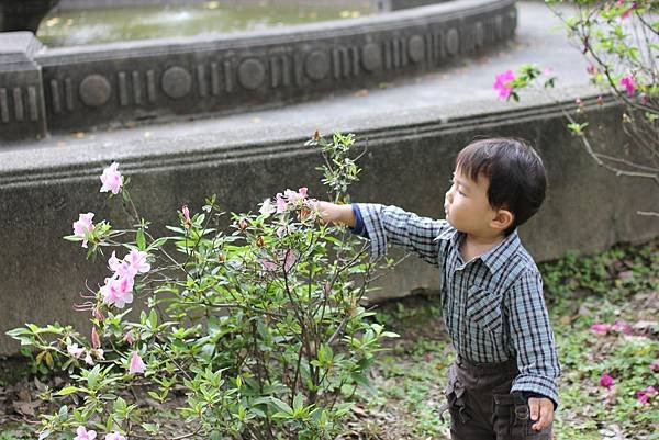 傅園 (109).jpg