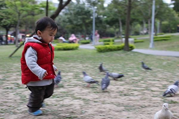 大安森林公園 (45).jpg