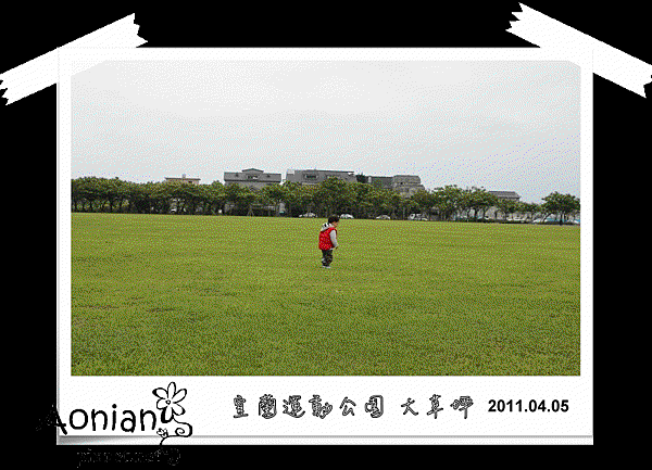 6.gif